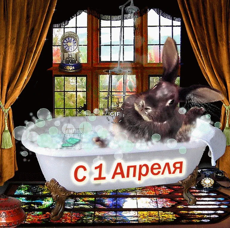 Кролик в ванне