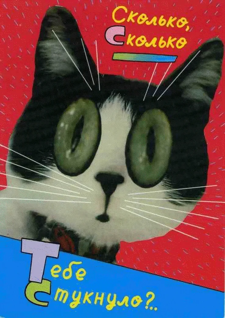 Удивлённый кот на прикольной открытке