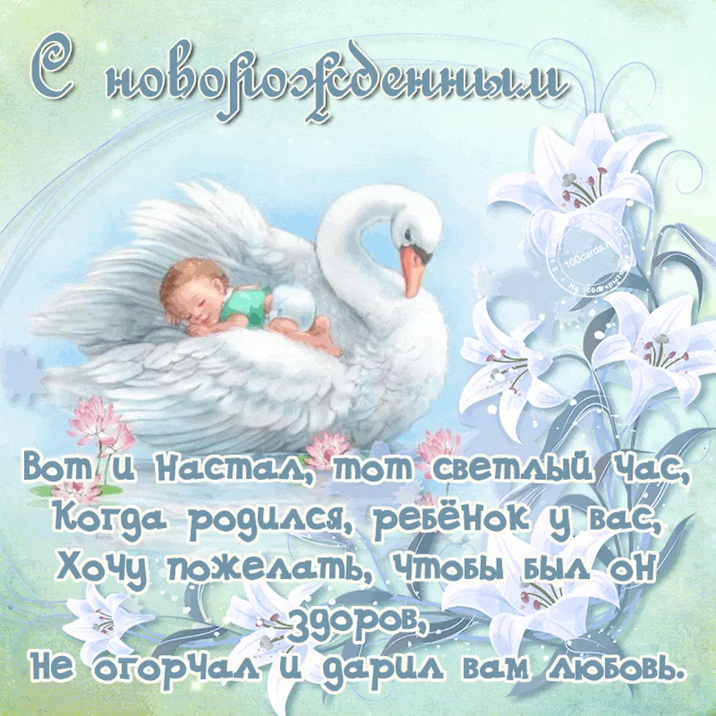Малыш и лебедь на открытке с новорожденным