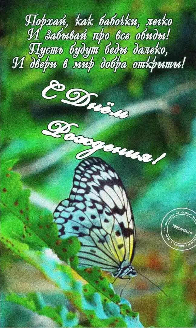 Красивая открытка с днем рождения женщине с бабочкой и поздравлениями