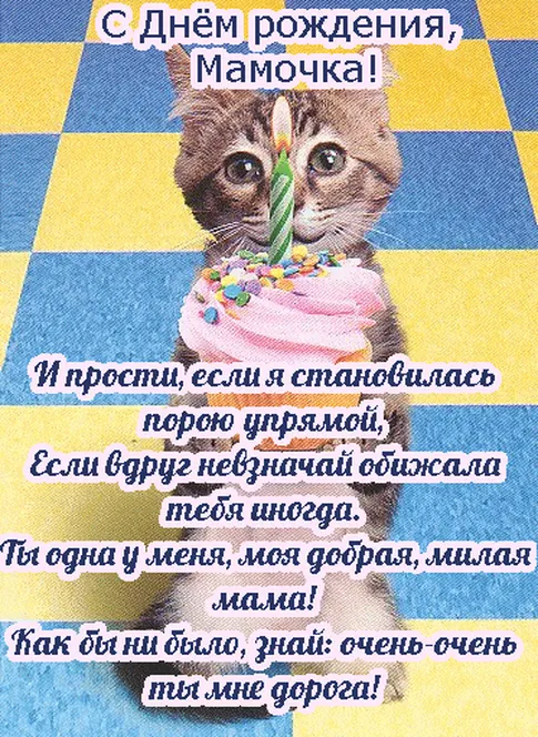 Котик с пироженым на открытке для мамы