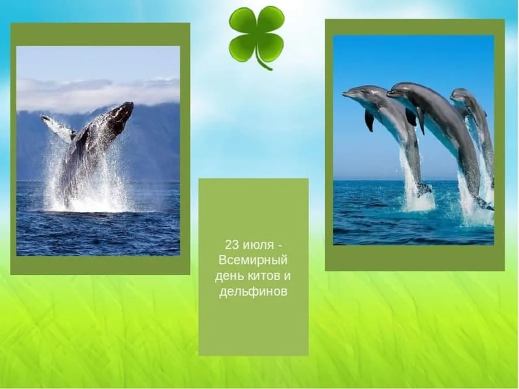Яркая открытка с днем китов и дельфинов