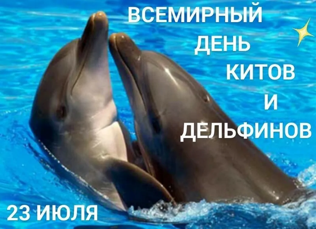 Открытка с днем китов и дельфинов
