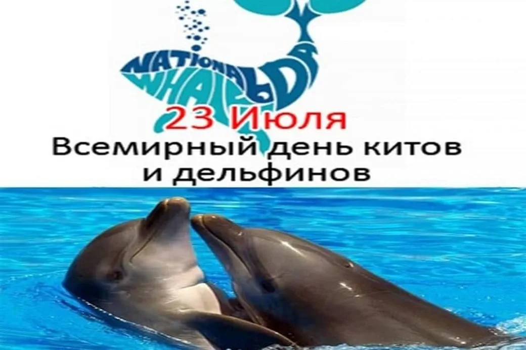 Официальная открытка с днем китов и дельфинов