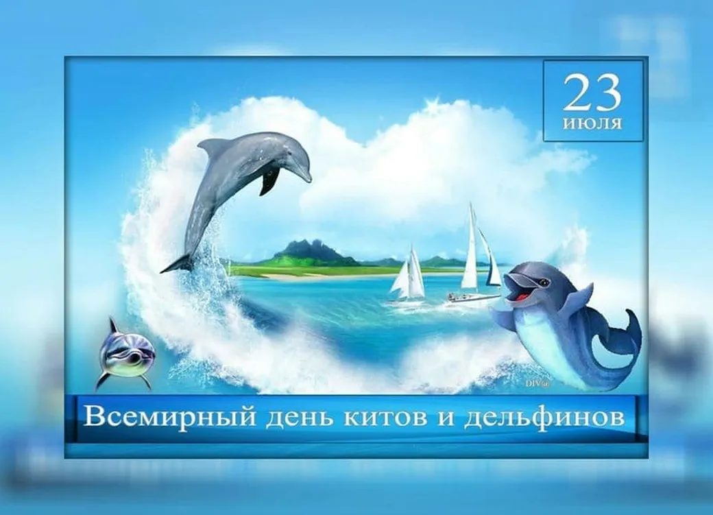 Поздравляем с днем китов и дельфинов, открытка