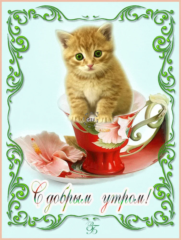 Доброе утро котик открытка